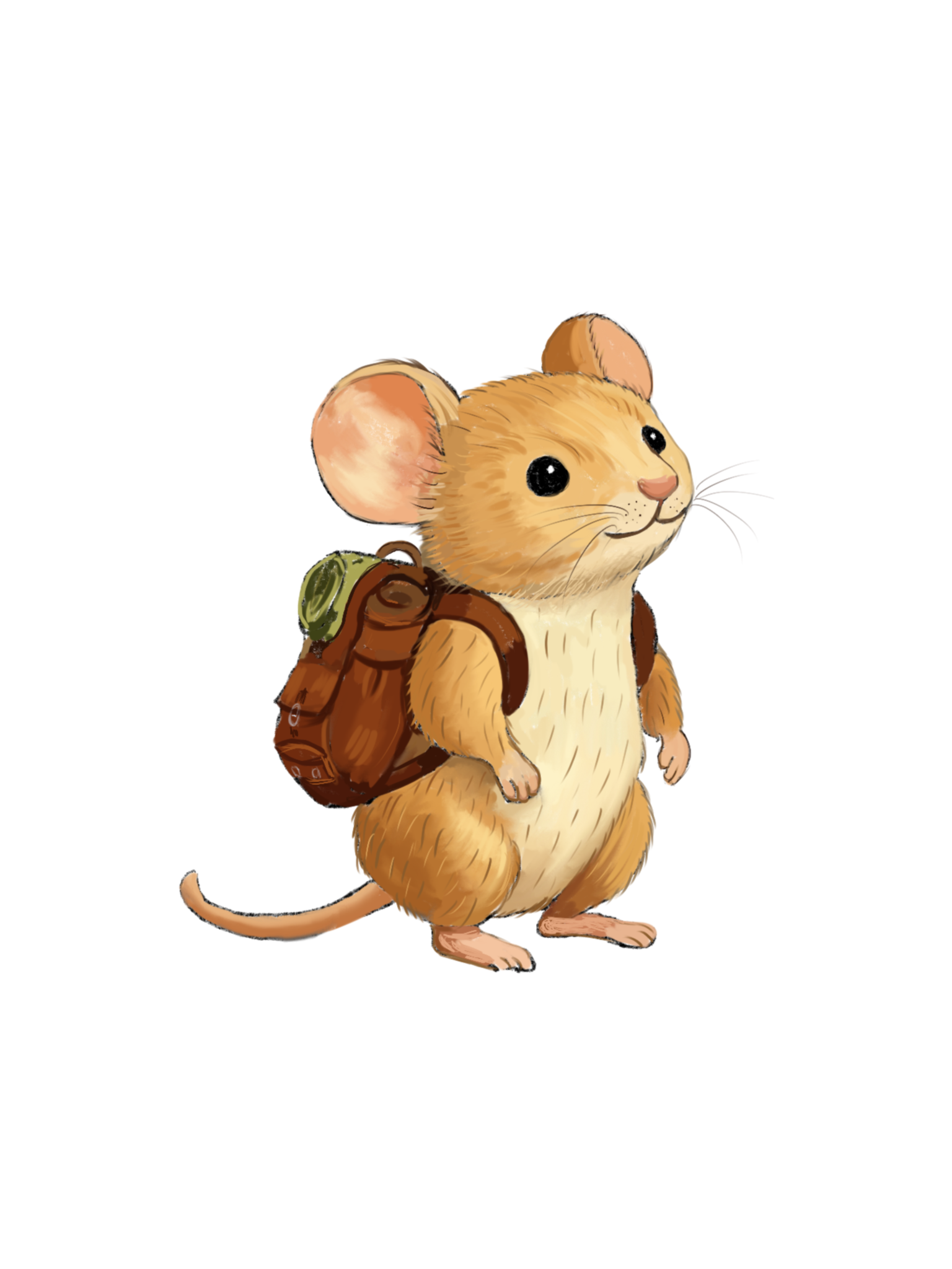 Morris Muis